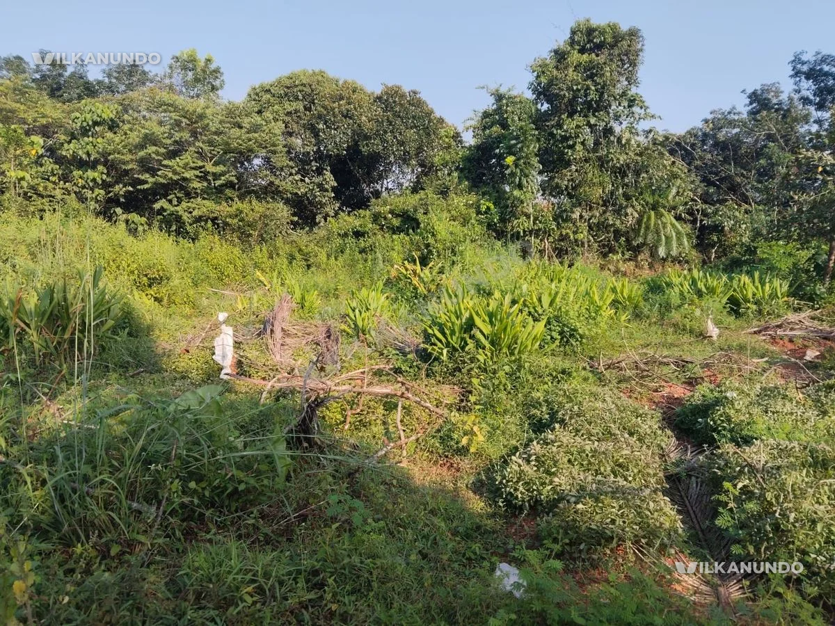 19.70 cent land near kmct mukkam for sale