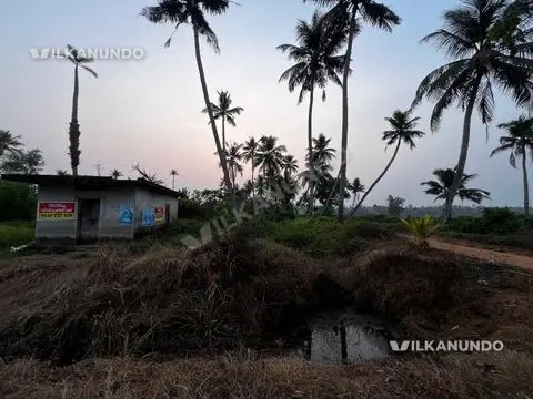 cultivation plot